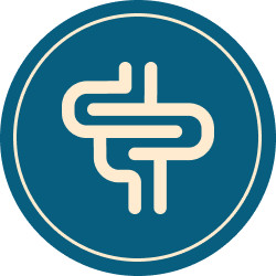 vlotte spijsvertering